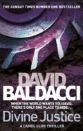 Divine Justice - David Baldacci, Pan Macmillan, 2014