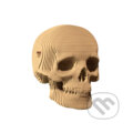 Puzzle: Cartonic Kartónové 3D puzzle Lebka (Cartonic). Cartonic, 2023