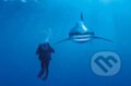 Ocean whitetip shark, Clementoni, 2016