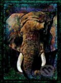 Africký slon, Editions Ricordi, 2016