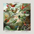 Hudobné CD: Katarína Koščová, Daniel Špiner: Krehkosť (Hudobné albumy). Hudobné albumy, 2023