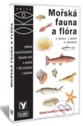 Mořská fauna a flora - Antonín Altmann, Albatros CZ, 2007