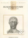 Human anatomy, Vinciana