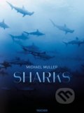 Sharks - Michael Muller, Taschen, 2016
