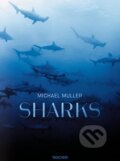 Kniha: Sharks (Michael Muller). Taschen, 2016