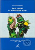 Kniha: Sjezd vodníků na Soumarském mostě : řezbářský kurz ve Volarech 1994-1999 (Ivo Stehlík). , 2000