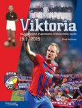 Kniha: Viktoria (Pavel Hochman). Regionall, 2015