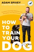 How to Train Your Dog - Adam Spivey, Robinson, 2023