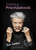 Zdenka Procházková - Zdenka Procházková, Brána, 2016