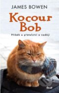 E-kniha: Kocour Bob (James Bowen)
