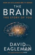 Brain - David Eagleman, Canongate Books, 2016