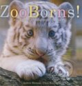 Kniha: ZooBorns! (Andrew Bleiman a Chris Eastland). Beach Lane, 2010