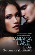 E-kniha: Jamaica Lane (Samantha Young), 2014