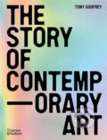 The Story of Contemporary Art - Tony Godfrey, Thames & Hudson, 2024