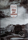 Kniha: Oheň pod sněhem (Gjacchjo). Volvox Globator, 1998