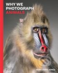 Kniha: Why We Photograph Animals (Huw Lewis-Jones). Thames & Hudson, 2024