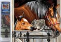 Diamantové malování Koně s kočkou, Norimpex