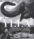 Kniha: Ylla (Pryor Dodge)