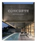 Kniha: Concrete (Cayetano Cardelus Vidal)