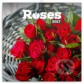Roses 2017, 2016
