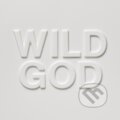 Nick Cave & The Bad Seeds: Wild God - Nick Cave, The Bad Seeds, Hudobné albumy, 2024