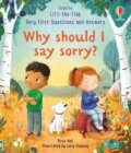 Why should I say sorry? - Rose Hall, Lucy Fleming (ilustrátor), Usborne, 2024