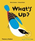What&#039;s Up? - Bernard Duisit, Olivia Cosneau, Thames & Hudson, 2016