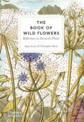 Kniha: The Book of Wild Flowers (Angie Lewin a Christopher Stocks)