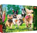 Puzzle: Čajový čas: Prichádzajú problémy! (Trefl). Trefl, 2024