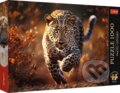 Puzzle: Foto Odysea: Divoký leopard (Trefl). Trefl, 2024