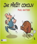 Kniha: Jak přežít cokoliv (Pavel Kantorek). Fragment, 2018
