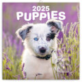 Nástenný poznámkový kalendár Puppies (Šteniatka) 2025, Notique, 2024