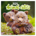 Nástenný poznámkový kalendár Animails cuties (Mláďatá) 2025, Notique, 2024
