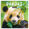 Nástenný poznámkový kalendár Pandas (Pandy) 2025, Notique, 2024