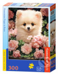Puzzle: Pomeranian Puppy in Roses (Castorland). Castorland, 2024