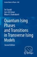 Kniha: Quantum Ising Phases and Transitions in Transverse Ising Models (Sei Suzuki, Jun-ichi Inoue a kolektív). Springer Verlag, 2013