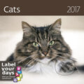 Kalendář nástěnný 2017 - Cats 300x300cm, Helma, 2016