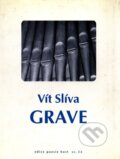 Kniha: Grave (Vít Slíva). Host, 2001