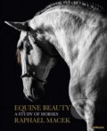 Equine Beauty - Raphael Macek, 2016