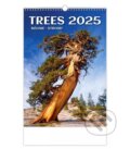 Stromy 2025 - nástěnný kalendář (Helma). Helma, 2024