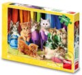 Puzzle: Puzzle 300XL Barevná koťátka (Dino). Dino, 2024
