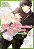 Kniha: The Worlds Greatest First Love Vol 17 (Shungiku Nakamura). SuBLime, 2024