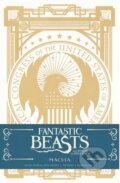 Fantastic Beasts and Where to Find them: Macusa, Insight, 2016