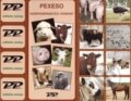 Pexeso - hospodárske zvieratá, 2016