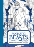 Fantastic Beasts and Where to Find Them, 2016