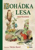 Kniha: Pohádka lesa (SUN). SUN, 2024