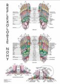 Mapa - Reflexologie nohy (Radomír Růžička)