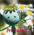 Kniha: Pre radosť (Simon Baum). , 2009