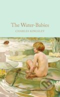 Kniha: Water-Babies (Charles Kingsley). Pan Macmillan, 2016