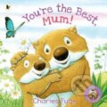 Kniha: You´re the Best, Mum! (Charles Fuge). , 2023